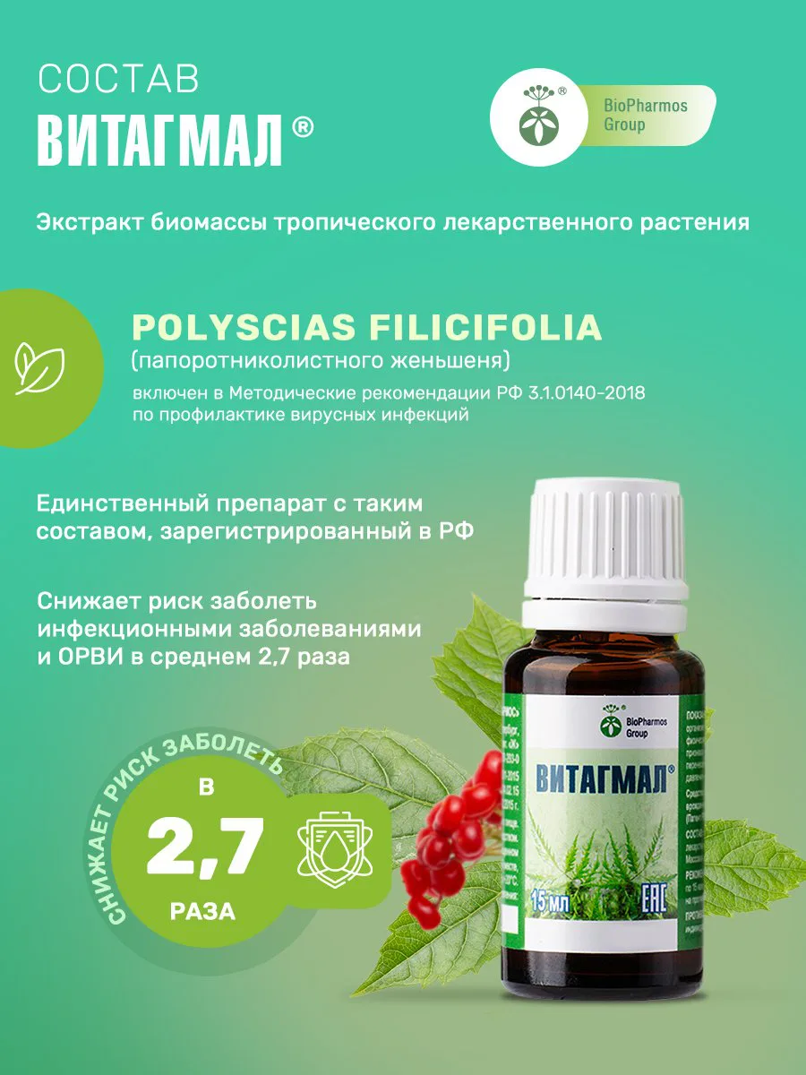 Состав ВИТАГМАЛ®: Polyscias filicifolia